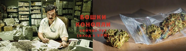 первитин Богданович