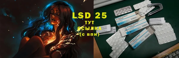 первитин Богданович