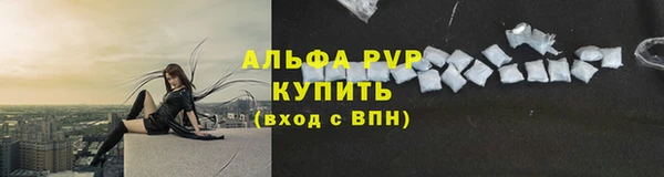 СК Богородицк