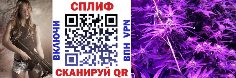 Каннабис сатива Купить закладки Медногорск